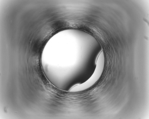 X0000093240595200710241257