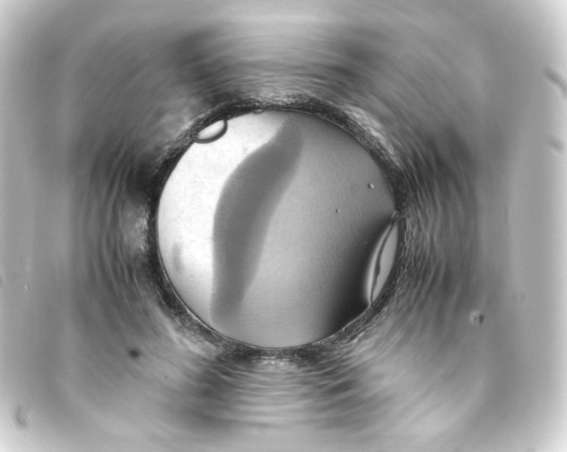 X0000093240596200710241257