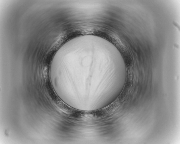 X0000093240598200710241257