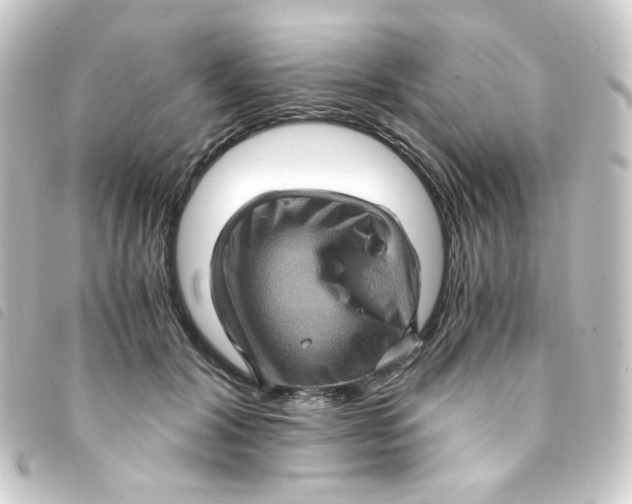 X0000093240604200710241257