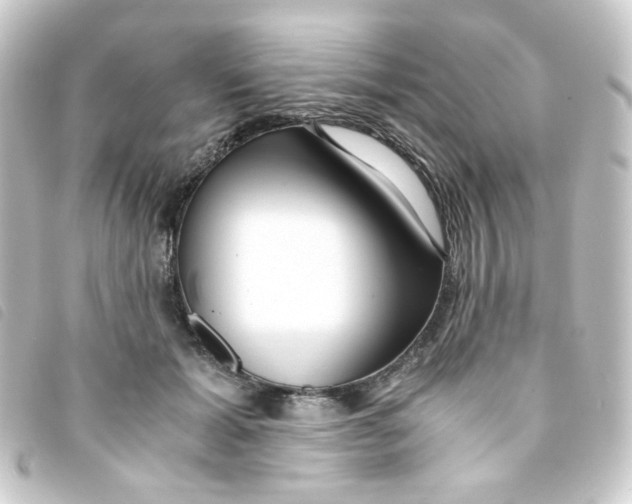 X0000093240605200710241257