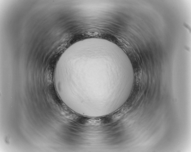 X0000093240606200710241256