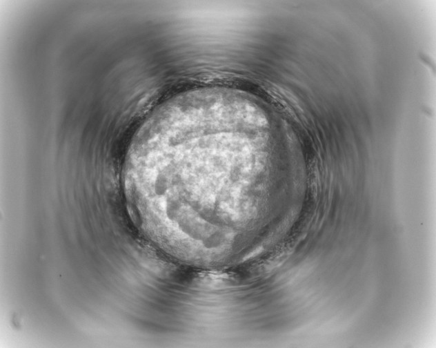 X0000093240607200710241256