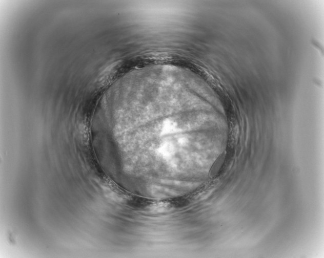 X0000093240609200710241256