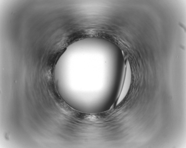 X0000093240611200710241256