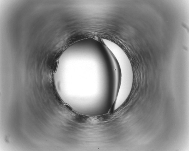 X0000093240613200710241256