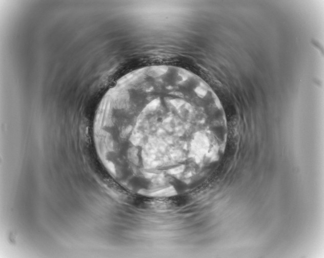 X0000093240615200710241256