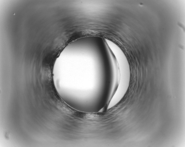 X0000093240617200710241256