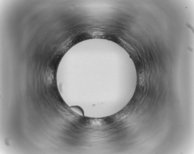 X0000093240618200710241256