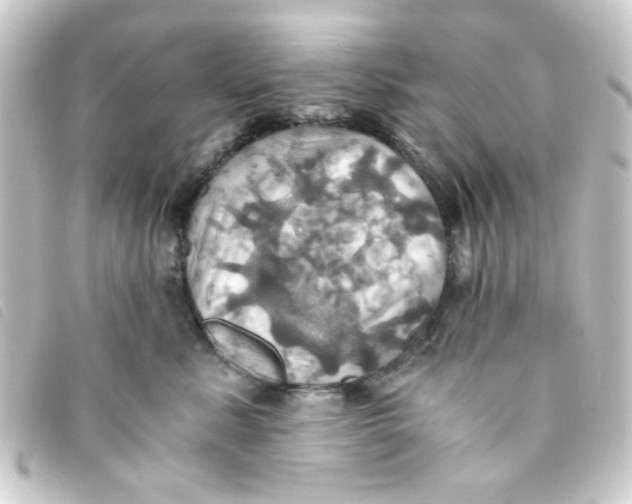 X0000093240619200710241256