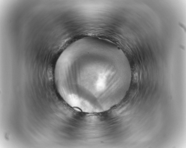 X0000093240620200710241256