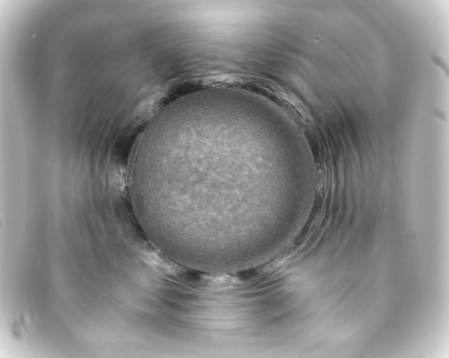 X0000093240621200710241256