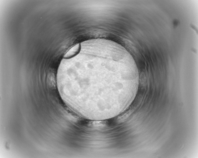 X0000093240622200710241256