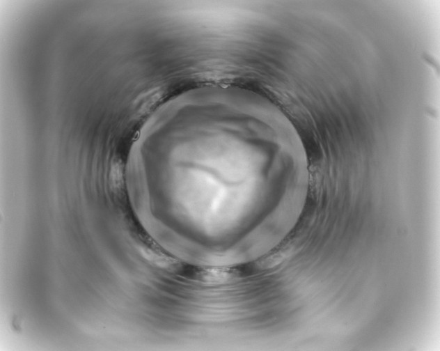 X0000093240623200710241256