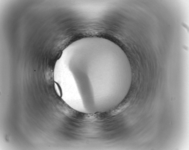 X0000093240624200710241256