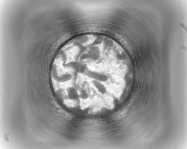 X0000093240625200710241256