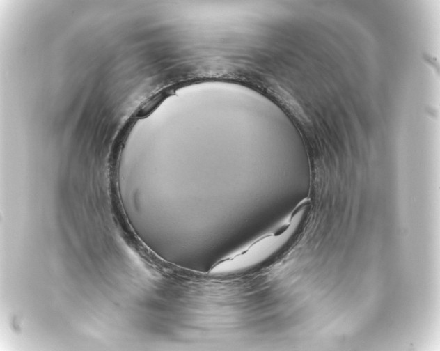 X0000093240626200710241256