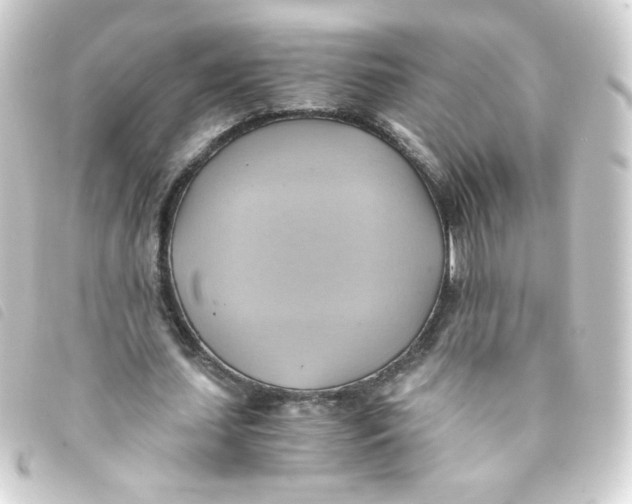 X0000093240627200710241256