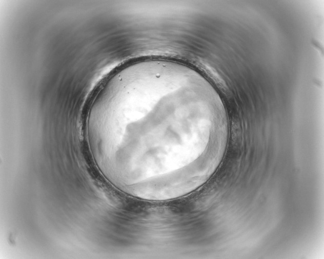 X0000093240628200710241256