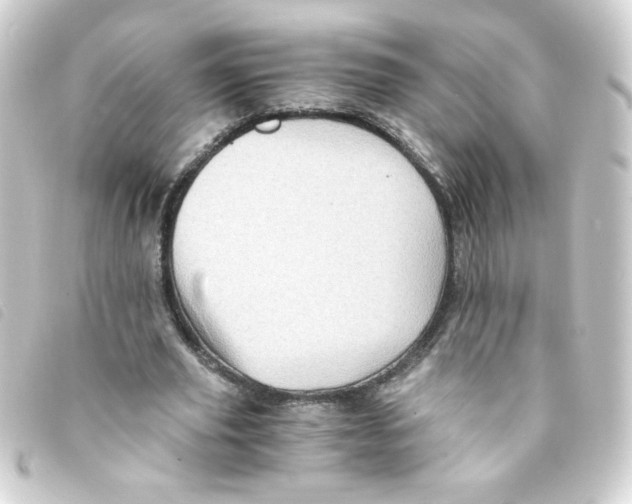 X0000093240629200710241256