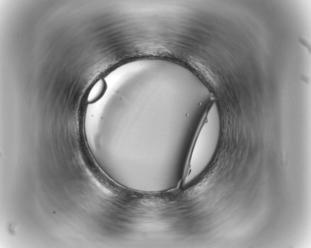 X0000093240630200710241256