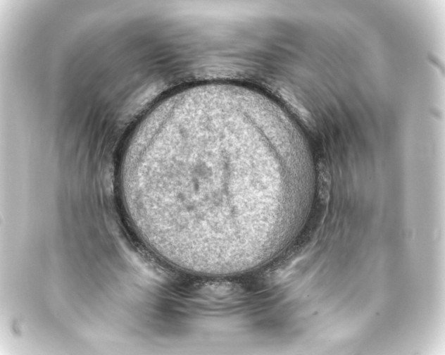 X0000093240631200710241256