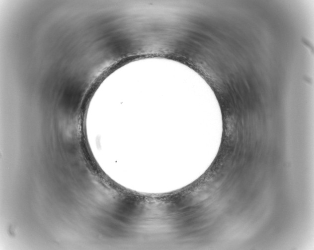 X0000093240632200710241256