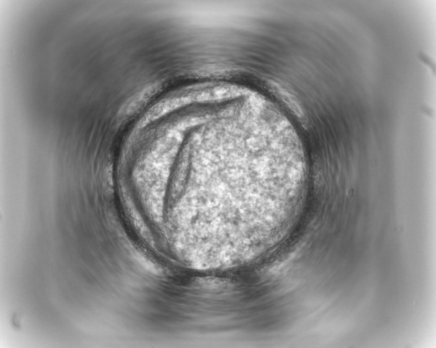 X0000093240633200710241256