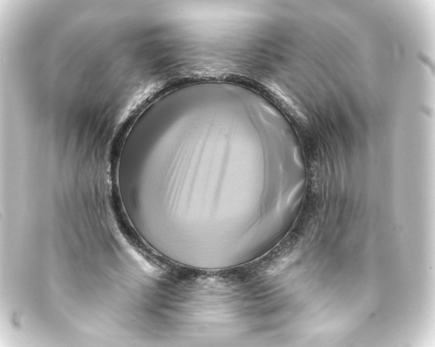 X0000093240634200710241256