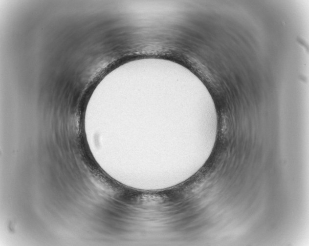 X0000093240636200710241256