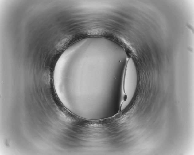 X0000093240637200710241256