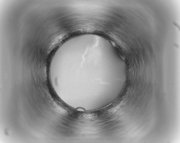 X0000093240638200710241256