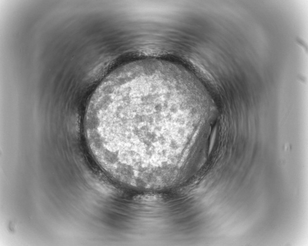 X0000093240639200710241256