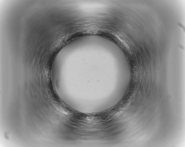 X0000093240641200710241256