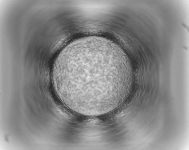 X0000093240642200710241256