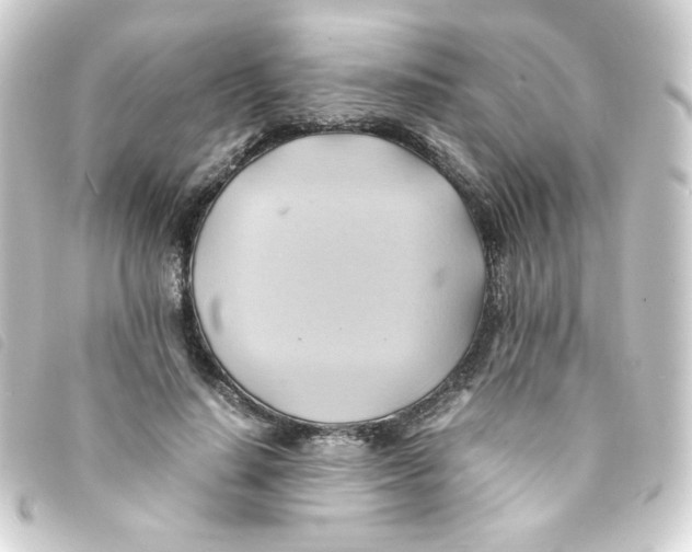 X0000093240644200710241256