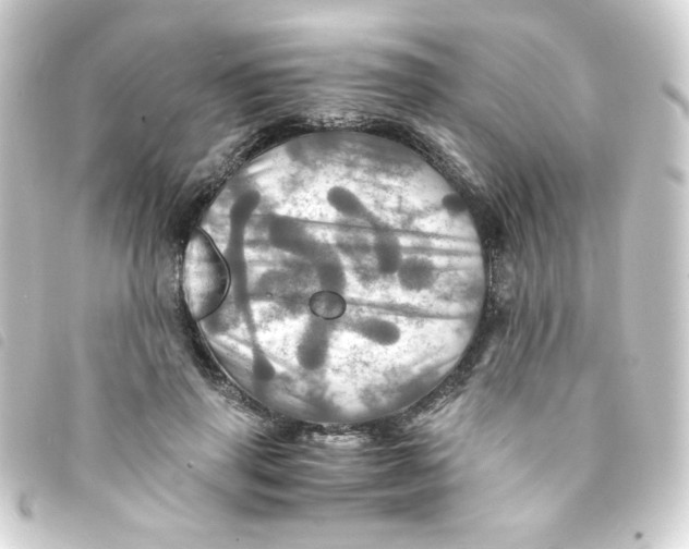 X0000093240645200710241256