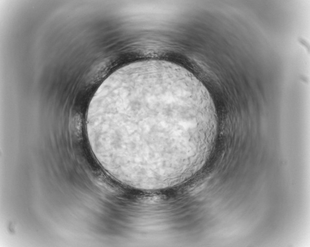 X0000093240646200710241256