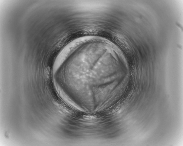 X0000093240649200710241256