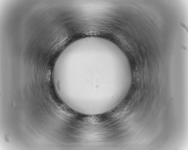 X0000093240652200710241256