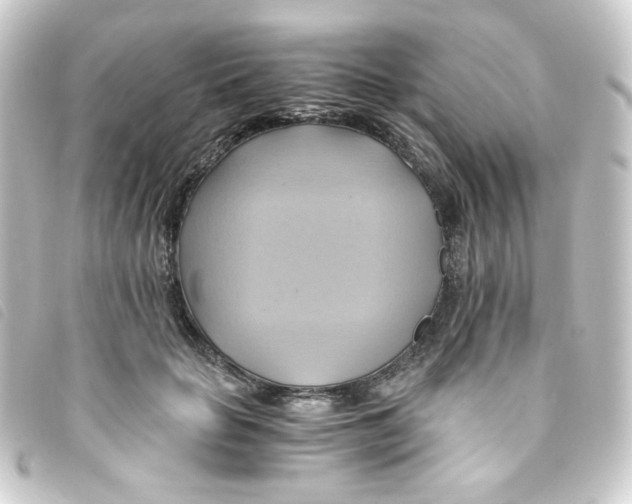 X0000093240653200710241256