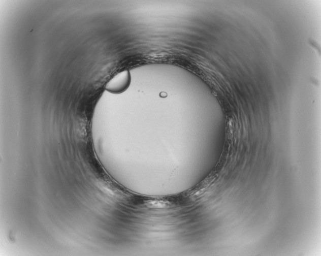 X0000093240654200710241256