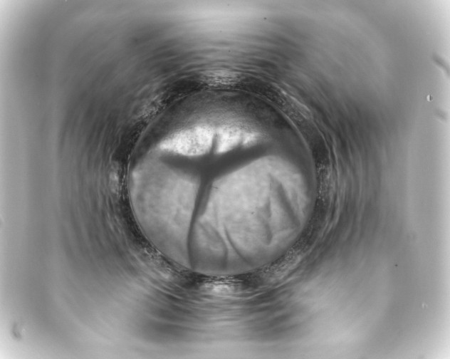 X0000093240655200710241256