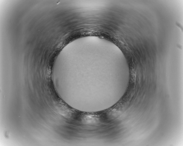 X0000093240657200710241256