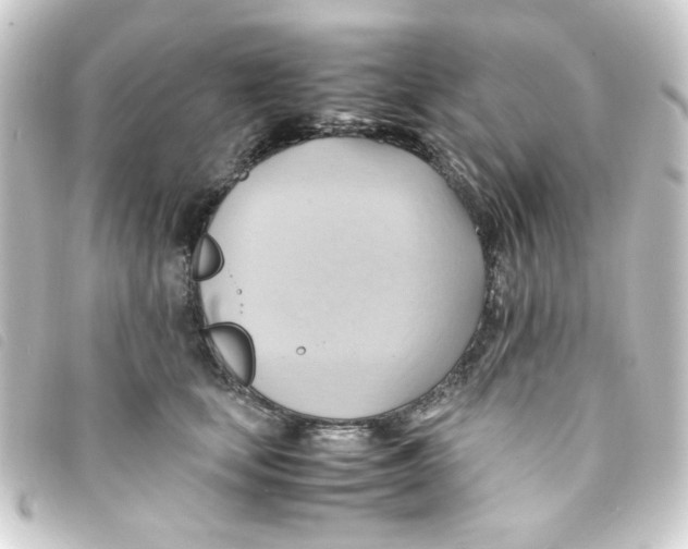 X0000093240659200710241256