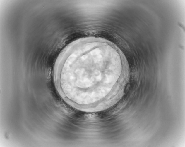 X0000093240660200710241256