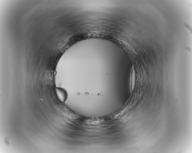 X0000093240661200710241256