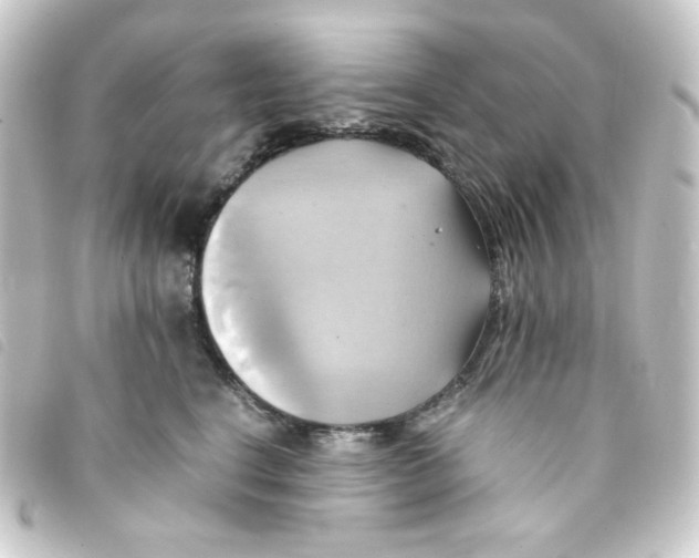 X0000093240664200710241256