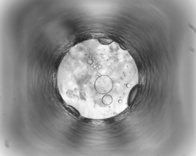 X0000093240666200710241256