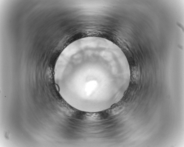 X0000093240667200710241256